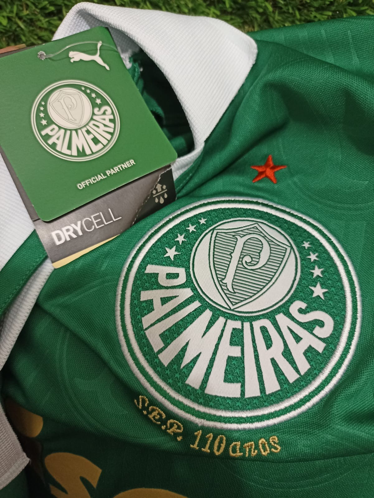 Jersey local Palmeiras 2024