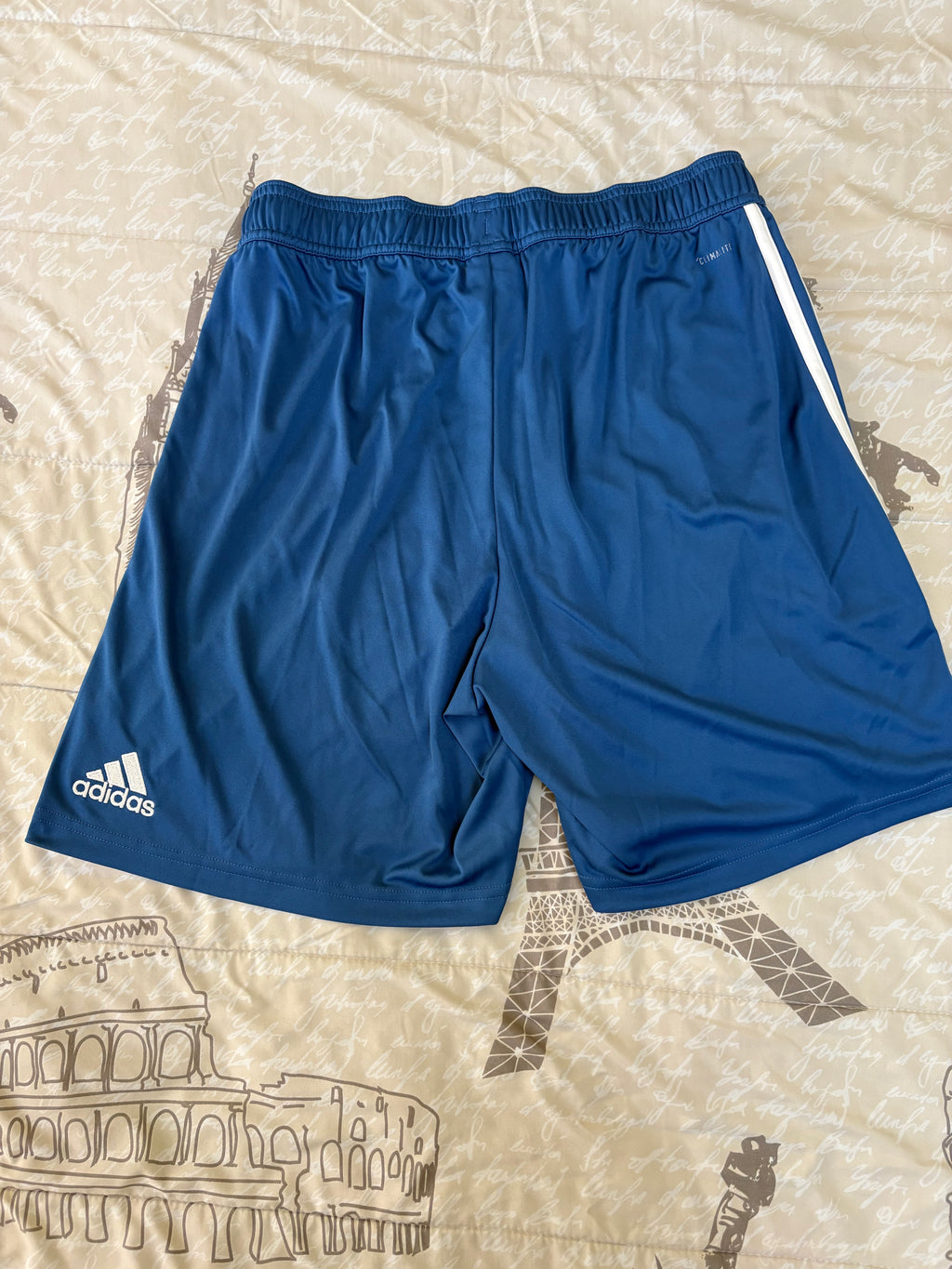 Shorts Selección Nacional de Alemania