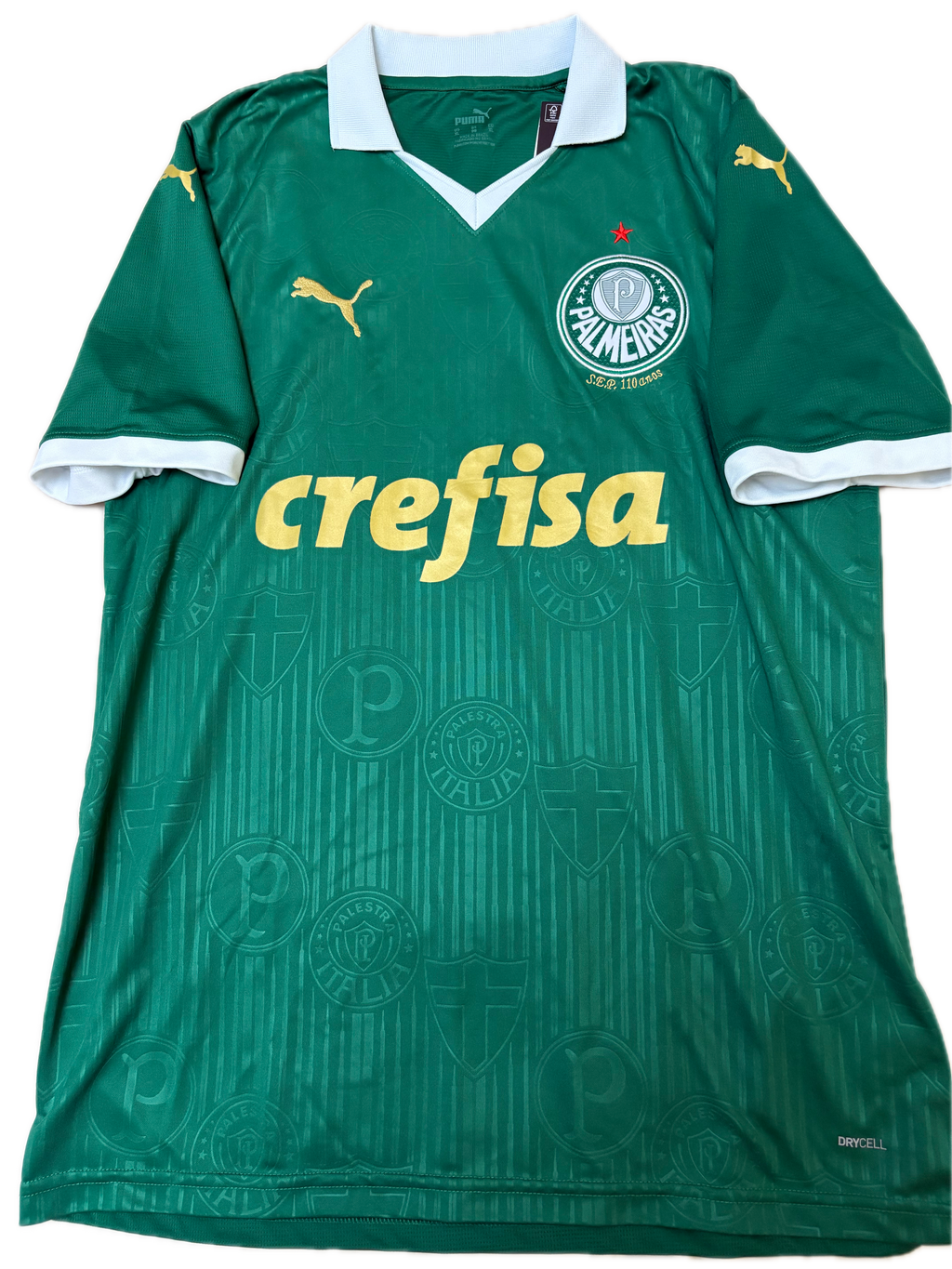 Jersey local Palmeiras 2024