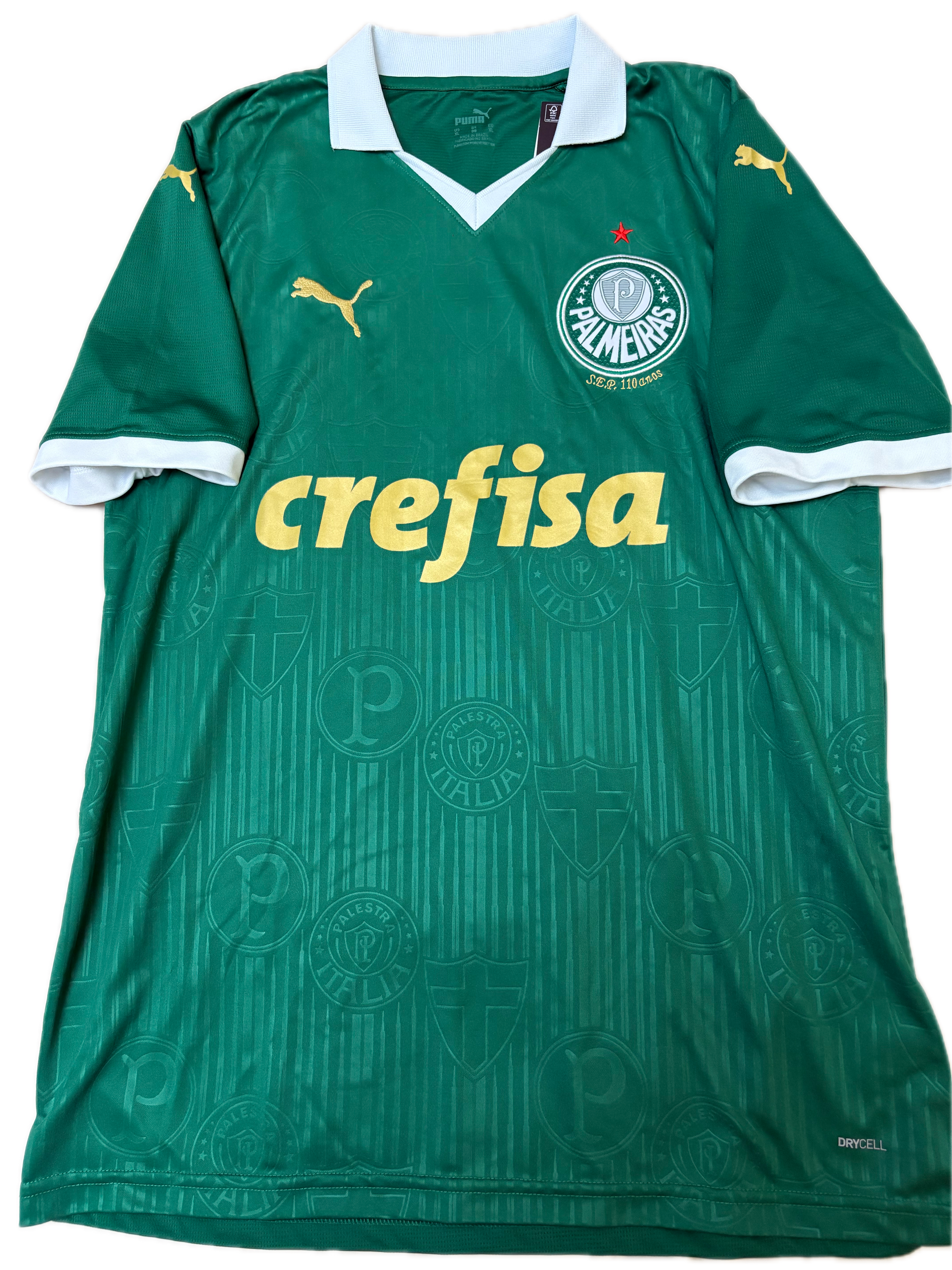 Jersey local Palmeiras 2024