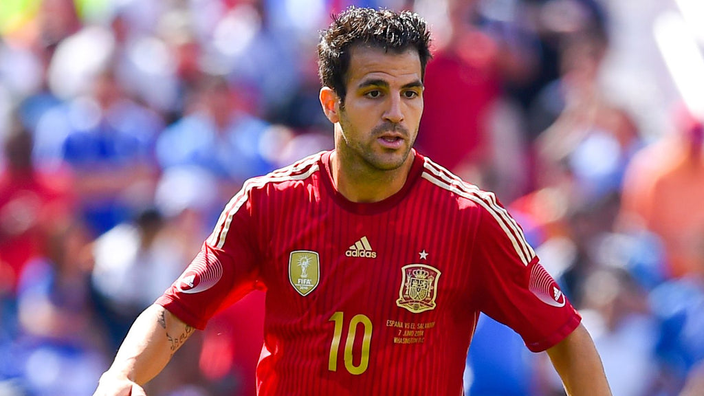 Jersey local Selección Nacional de España 2014 (FABREGAS)