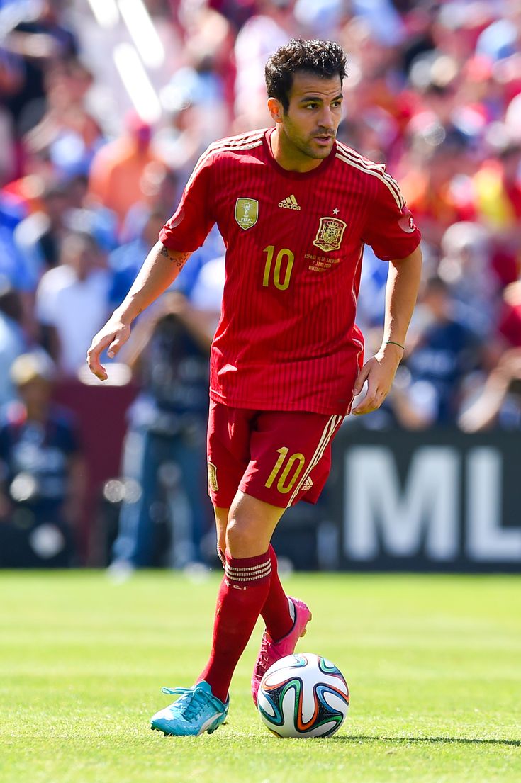 Jersey local Selección Nacional de España 2014 (FABREGAS)