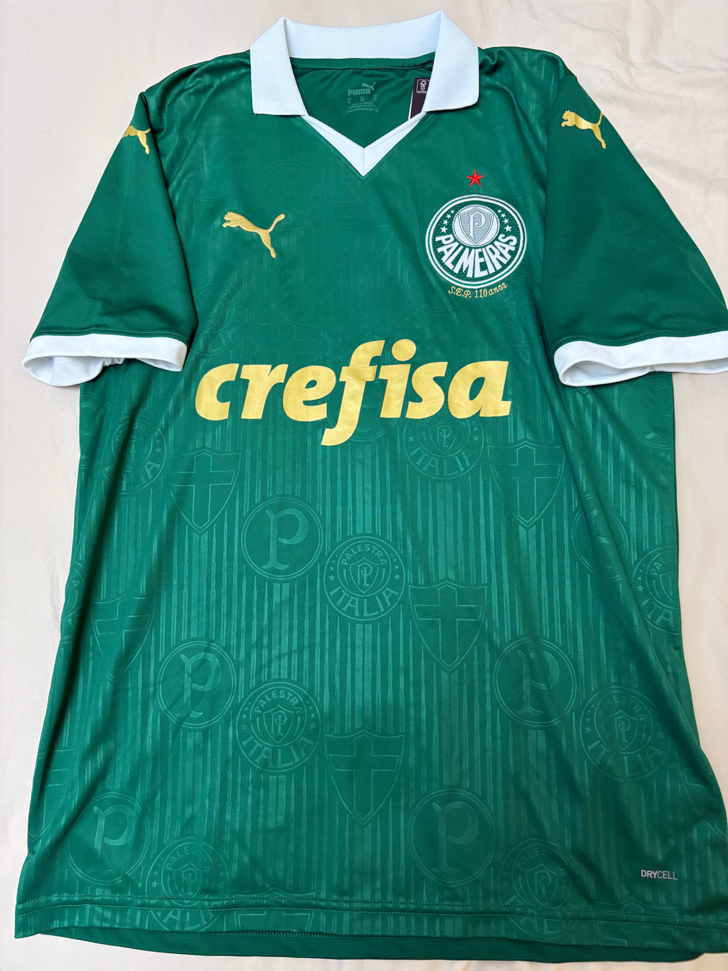 Jersey local Palmeiras 2024