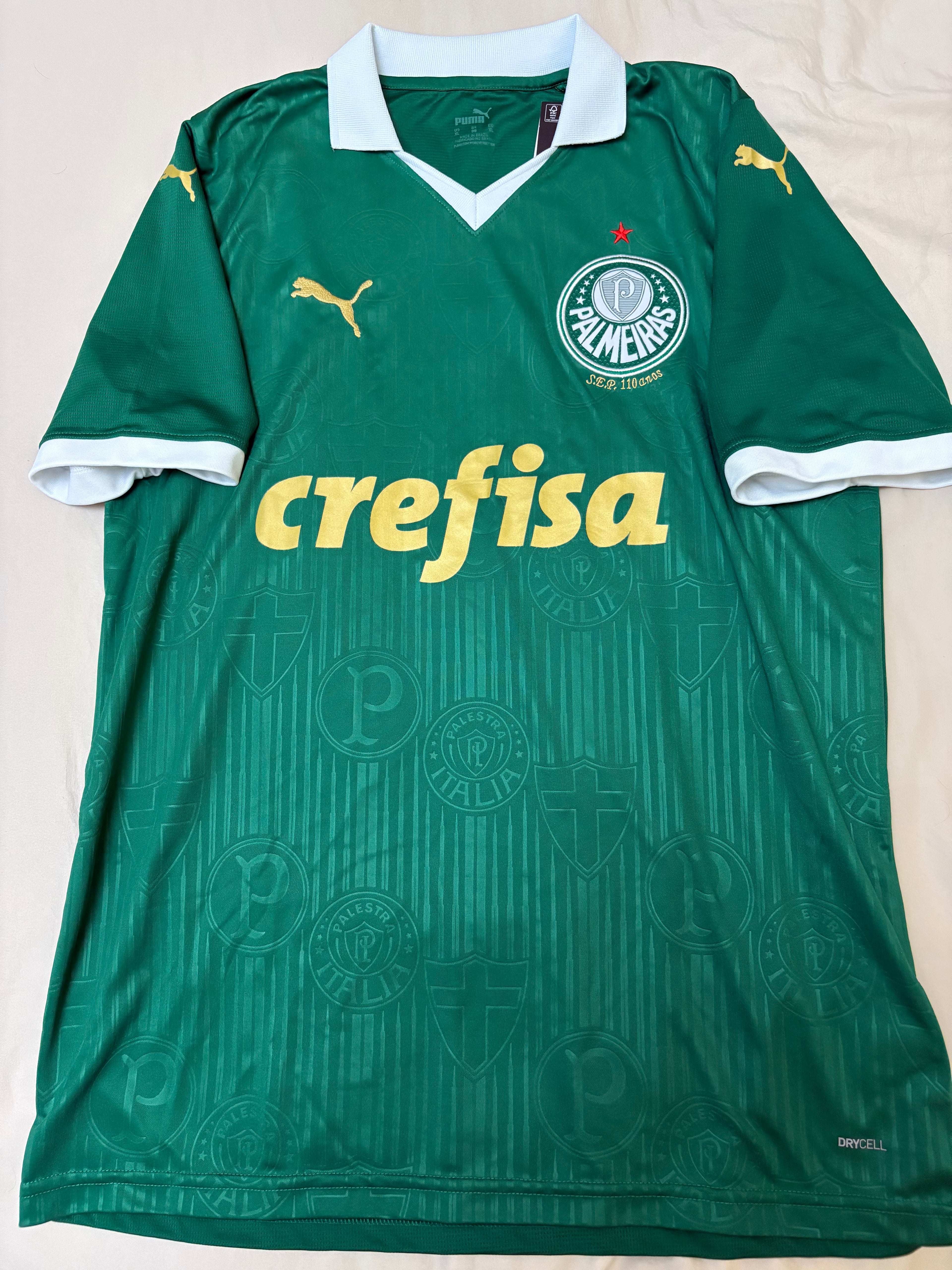 Jersey local Palmeiras 2024
