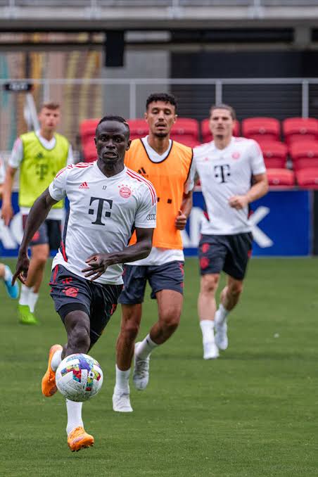 Jersey de entrenamiento Bayern Munich