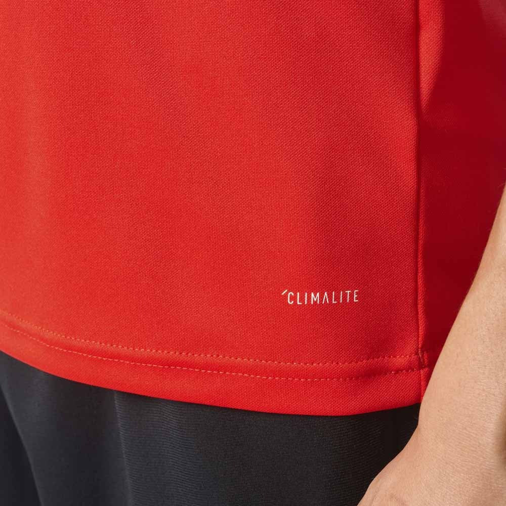 Camisa tipo Polo Benfica