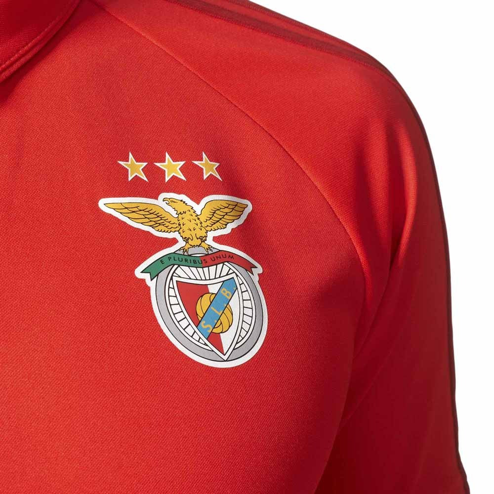 Camisa tipo Polo Benfica